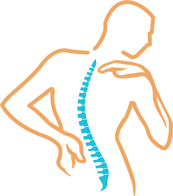 curved spine clipart